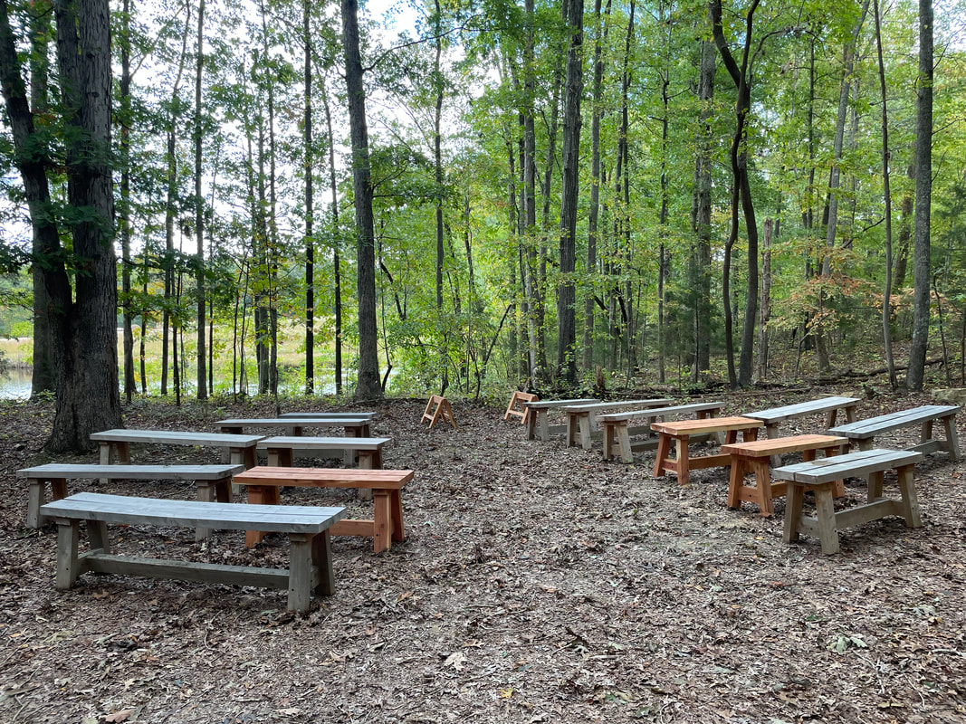 Houten banken in een open plek in het bos met bladstrooisel