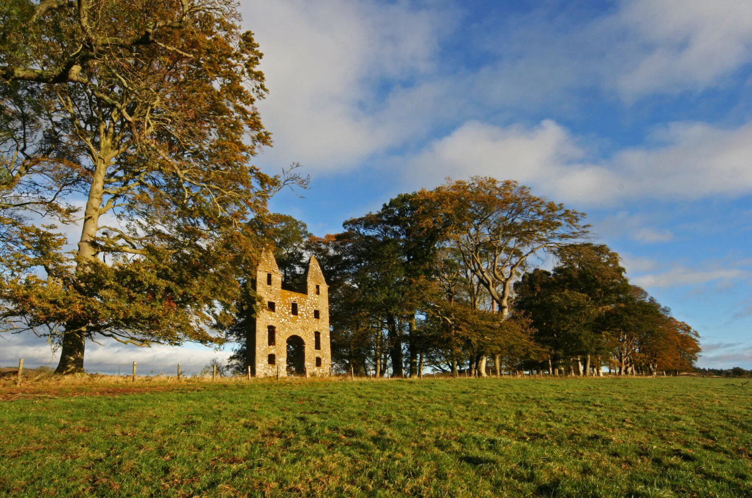 Stenen folly tussen oude beuken in herfstkleuren met grasland op de voorgrond, Hundy Mundy