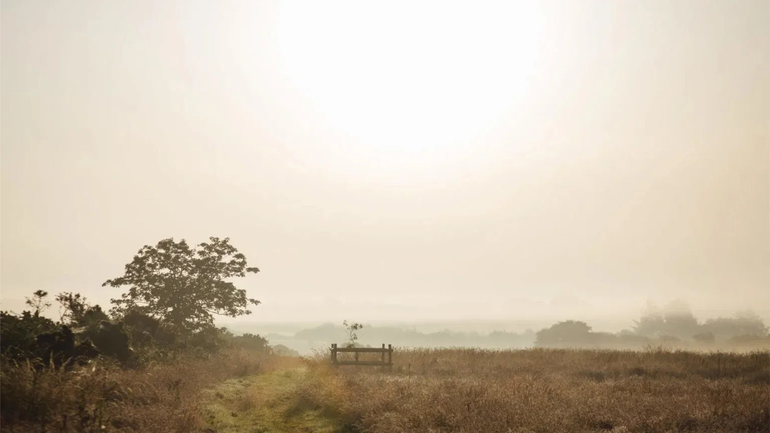 Houten bank in een mistig grasveld bij zonsopkomst op natuurbegraafplaats Pembrokeshire