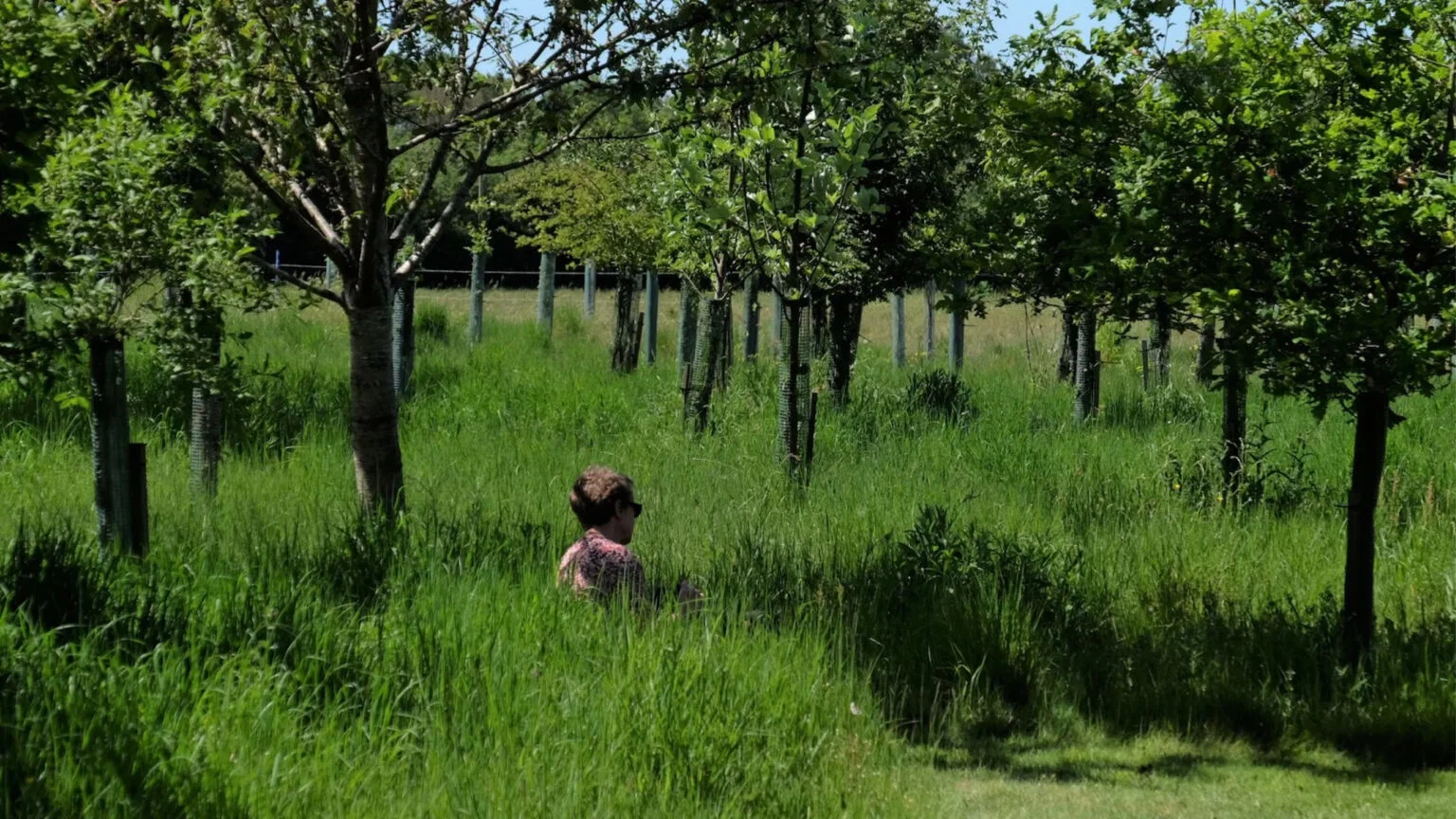 Bezoeker zittend in hoog gras tussen jonge loofbomen op natuurbegraafplaats Henley-on-Thames