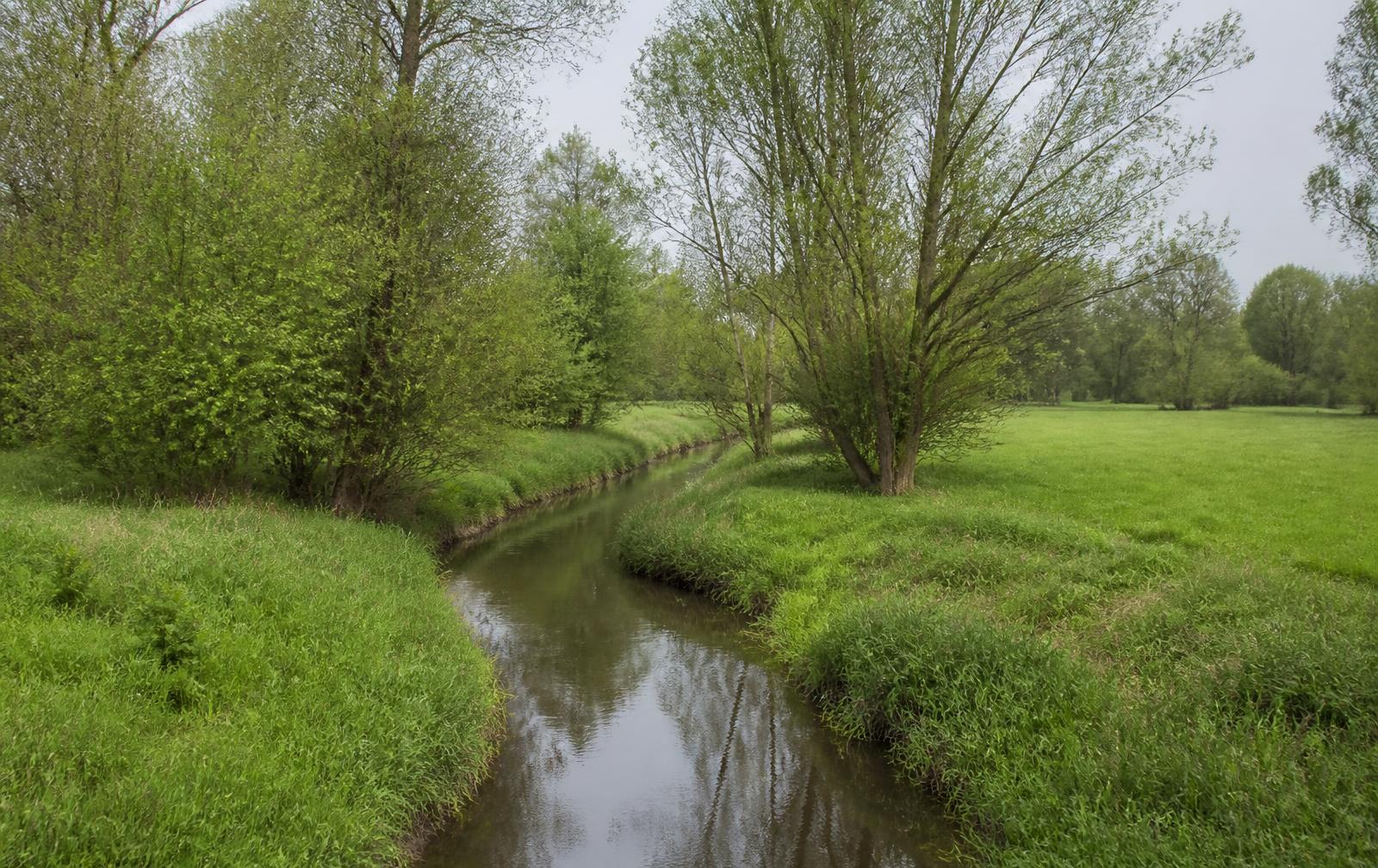 Beekdal met kronkelende beek en wilgen en elzen langs de oever